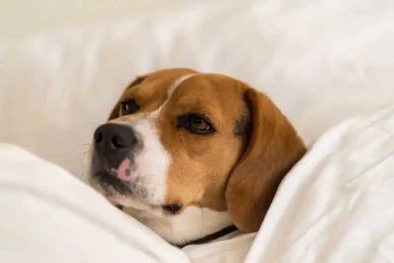 宾得新款16-50评测,宾得镜头18-135样片测评