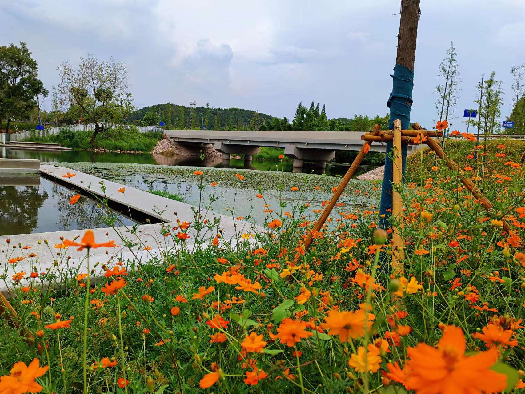 西塞山前白鹭飞图文,西塞山前白鹭飞风景
