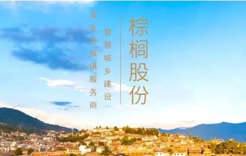 棕榈股份跌8.31%,棕榈股份跌10.02%
