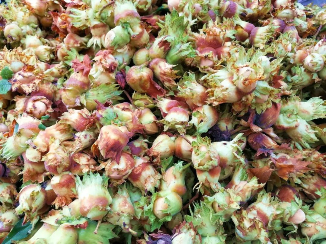 白山市出发五一2-3天短途旅游推荐,冬季白山周边一日游景点大全