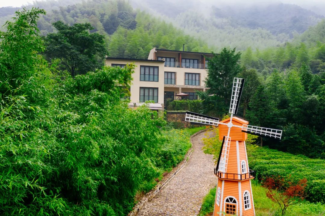 莫干山民宿天花板体验之旅,藏在莫干山间的民宿真的太美了