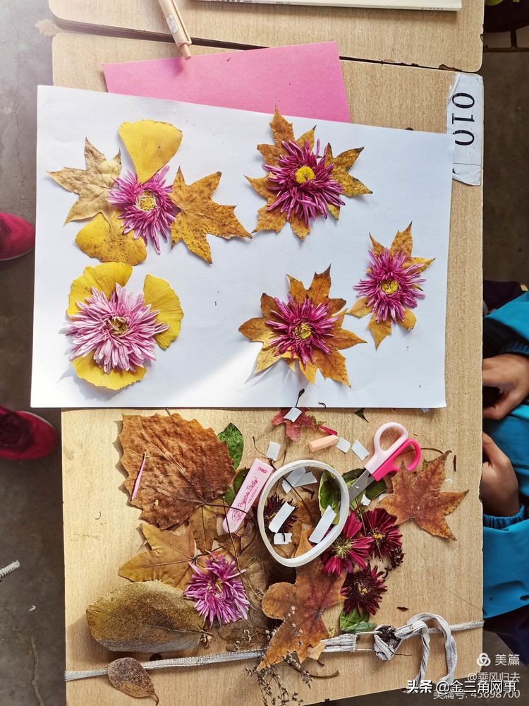 临猗庙上初中推进并践行植物标本课程