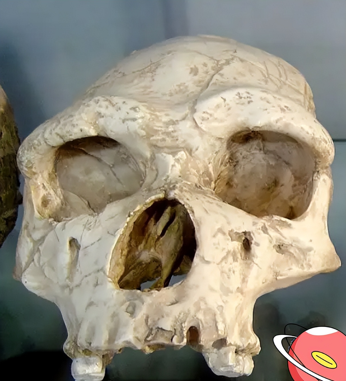 胆小莫入的人有多可怕,胆小勿进眼见不一定为实