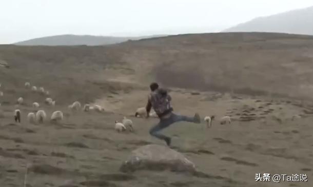 陕西少年酷爱打架，收藏品够买辆车，被“爷爷”救赎后学会感恩