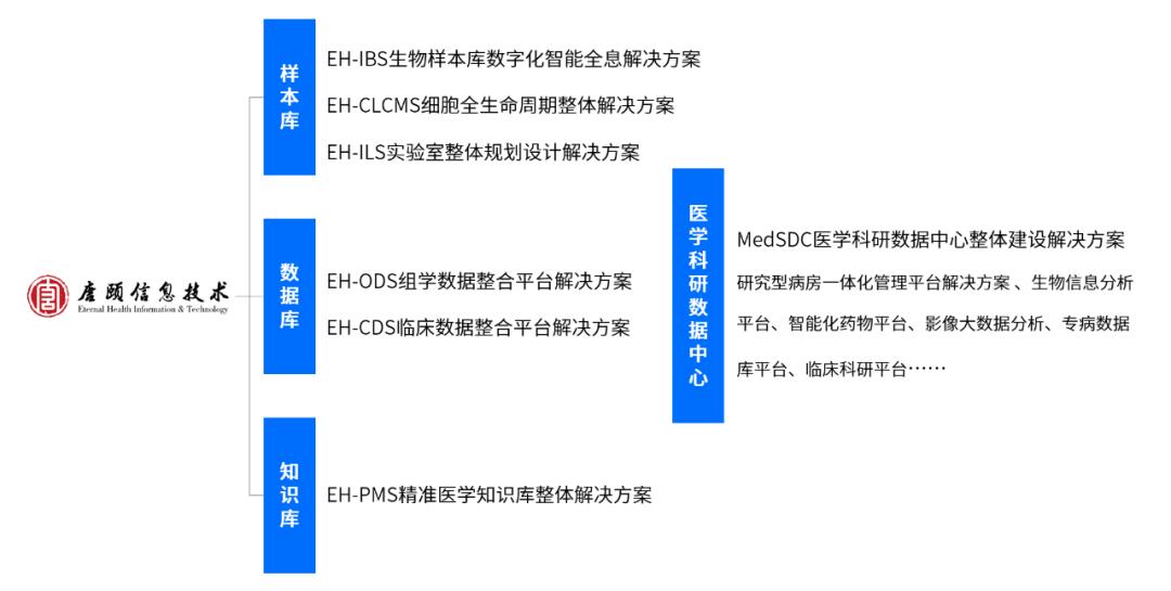 品牌再升级！唐颐信息官网全新改版上线