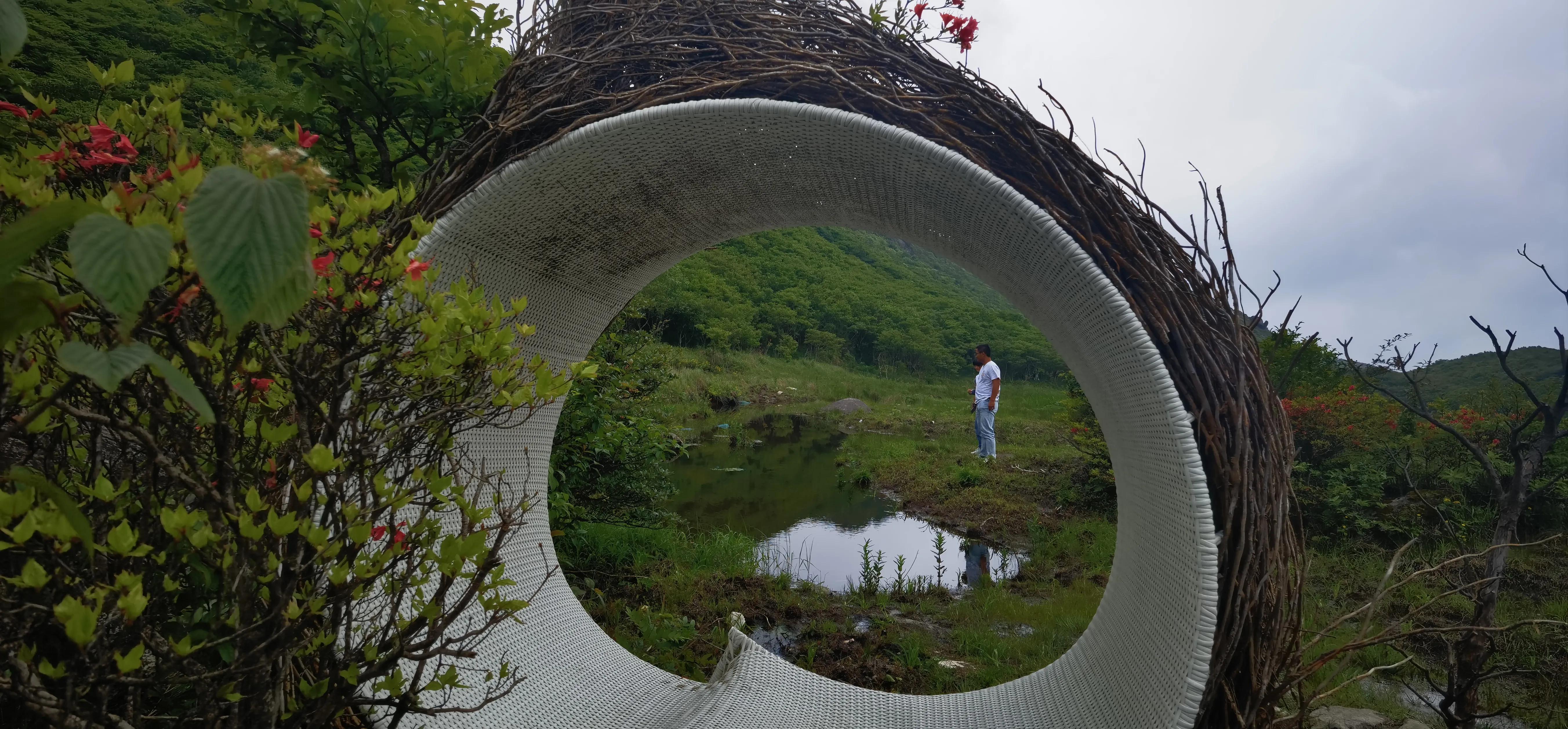 浏阳大围山森林公园浏阳河源头,大围山杜鹃花在哪个景点看