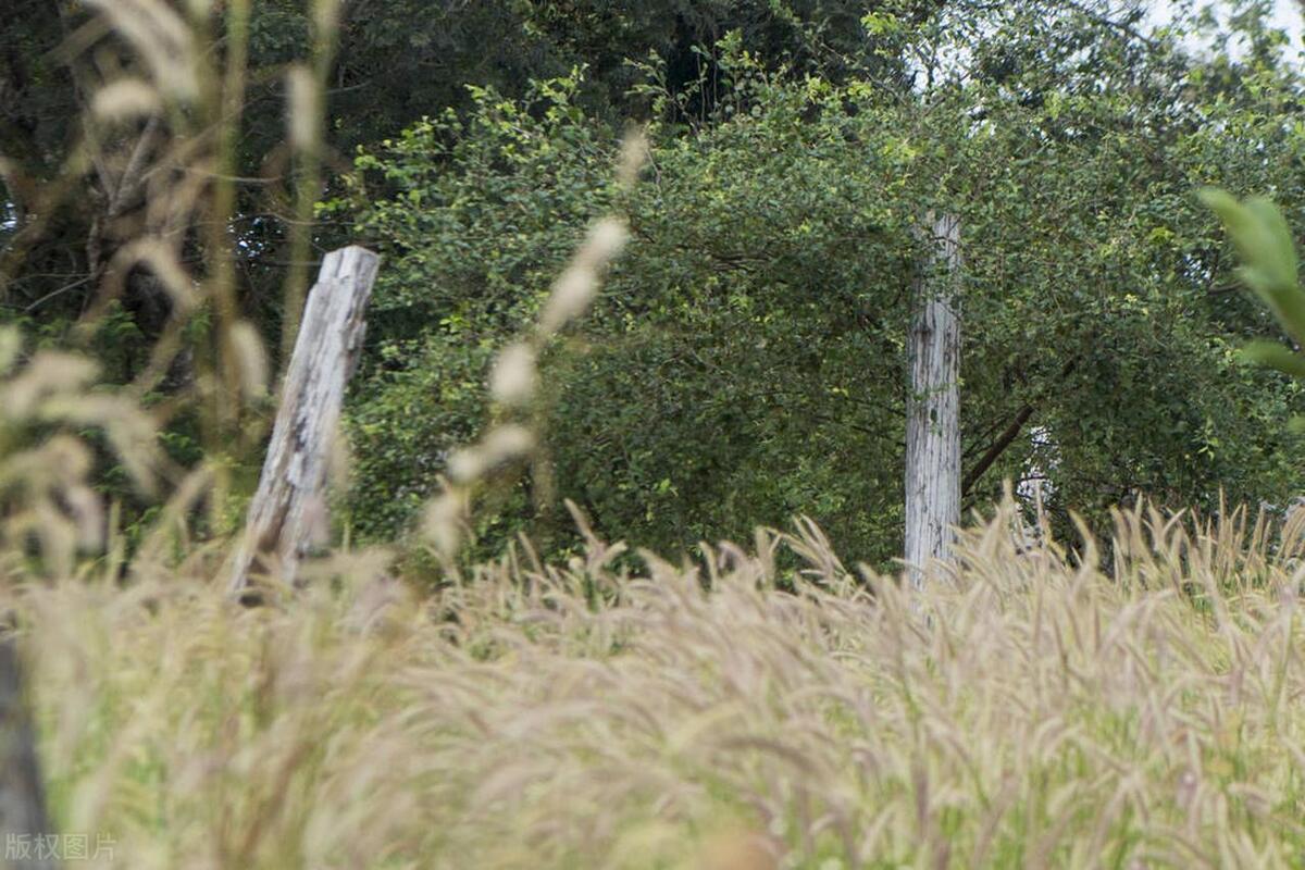 璐靛窞鍊煎緱鍘荤殑椋庢櫙灏忎紬,鏃呰璐靛窞浜斾釜缁濈編绉樺