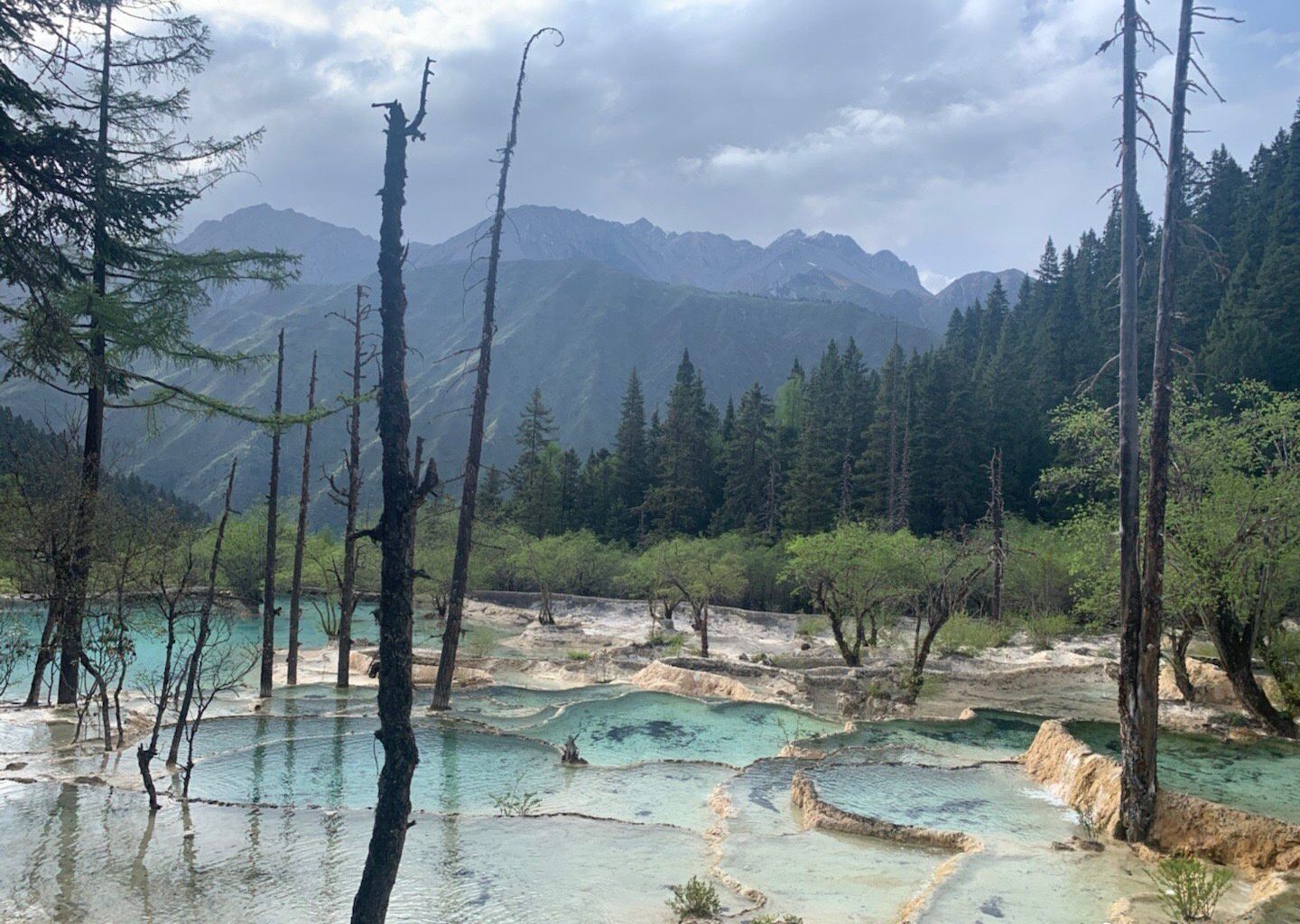 四川旅游导游推荐,四川成都自由行怎么找当地的导游