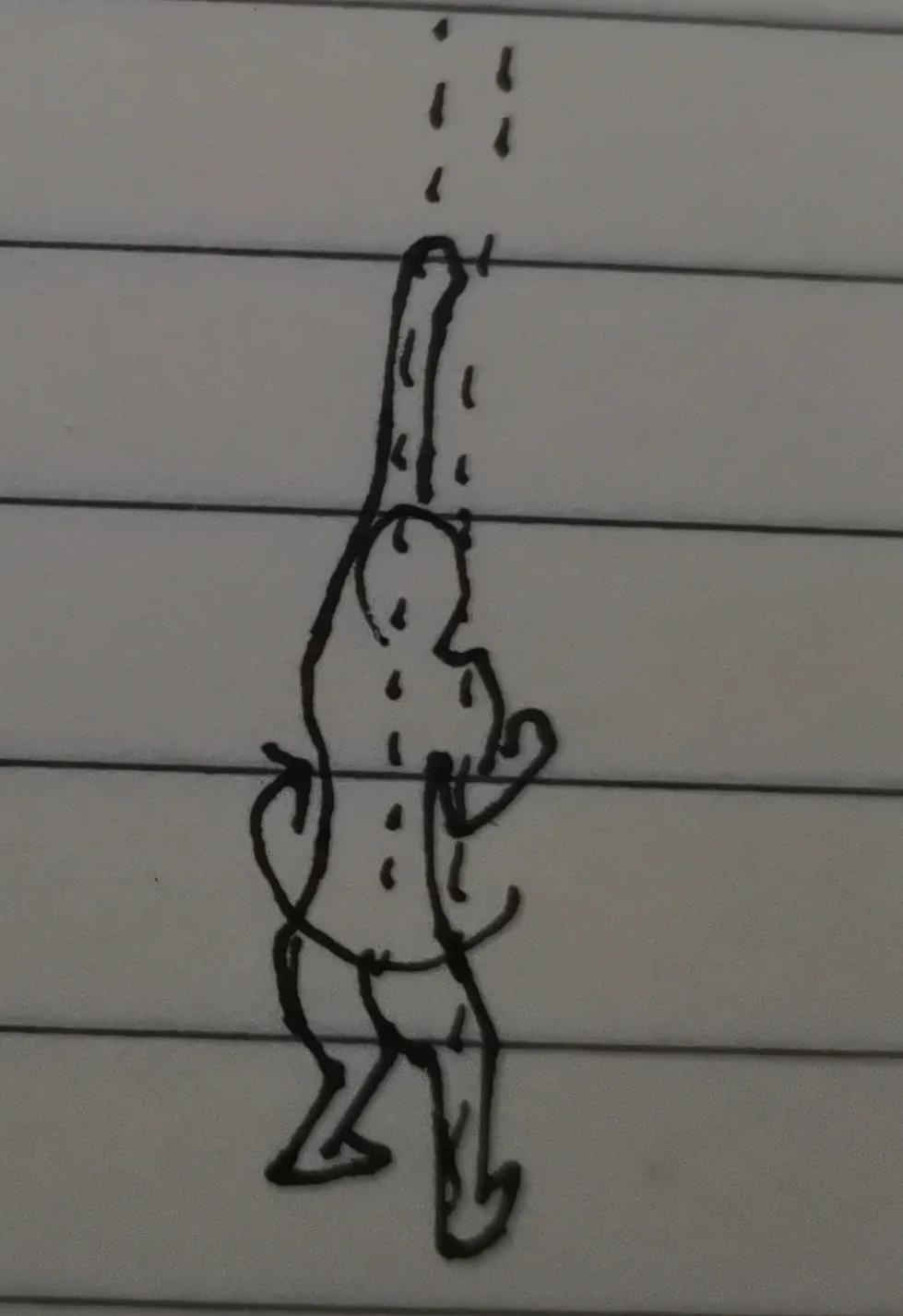 咏春拳标指打法,咏春拳和通背拳打法