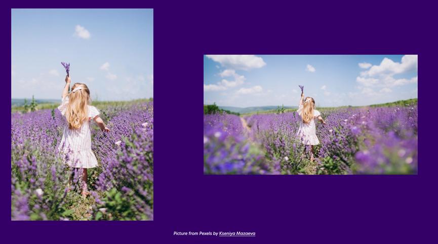 ai小技巧图片识别,adobephotoshop内容识别工具