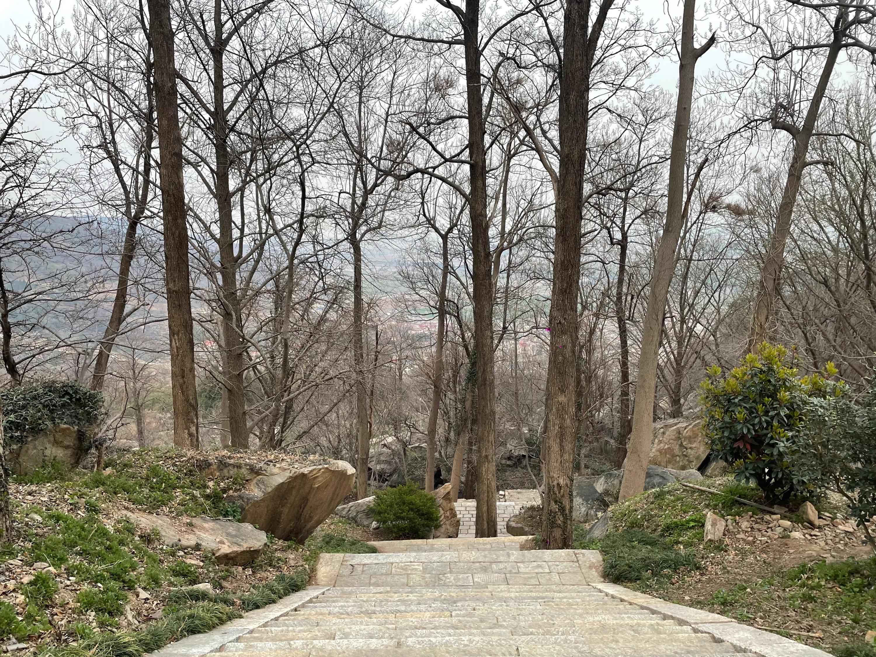 新学年第二学期No.198英语金句加外刊东磊花王白玉兰