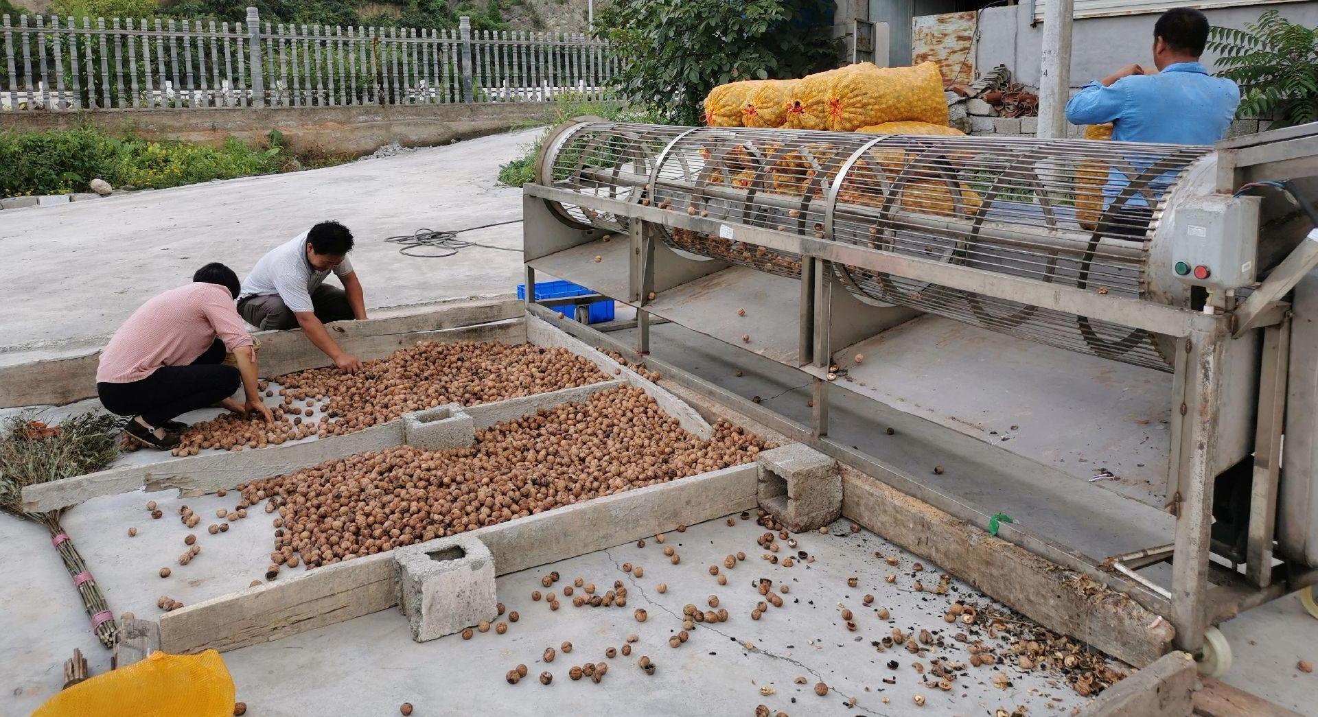 半年能挣20万的副业,月入百万的小商机