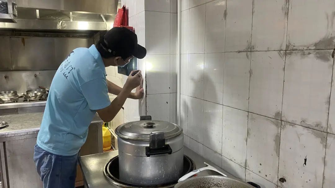 家里有蟑螂怎么处理用什么药,发现蟑螂正确的处理方法