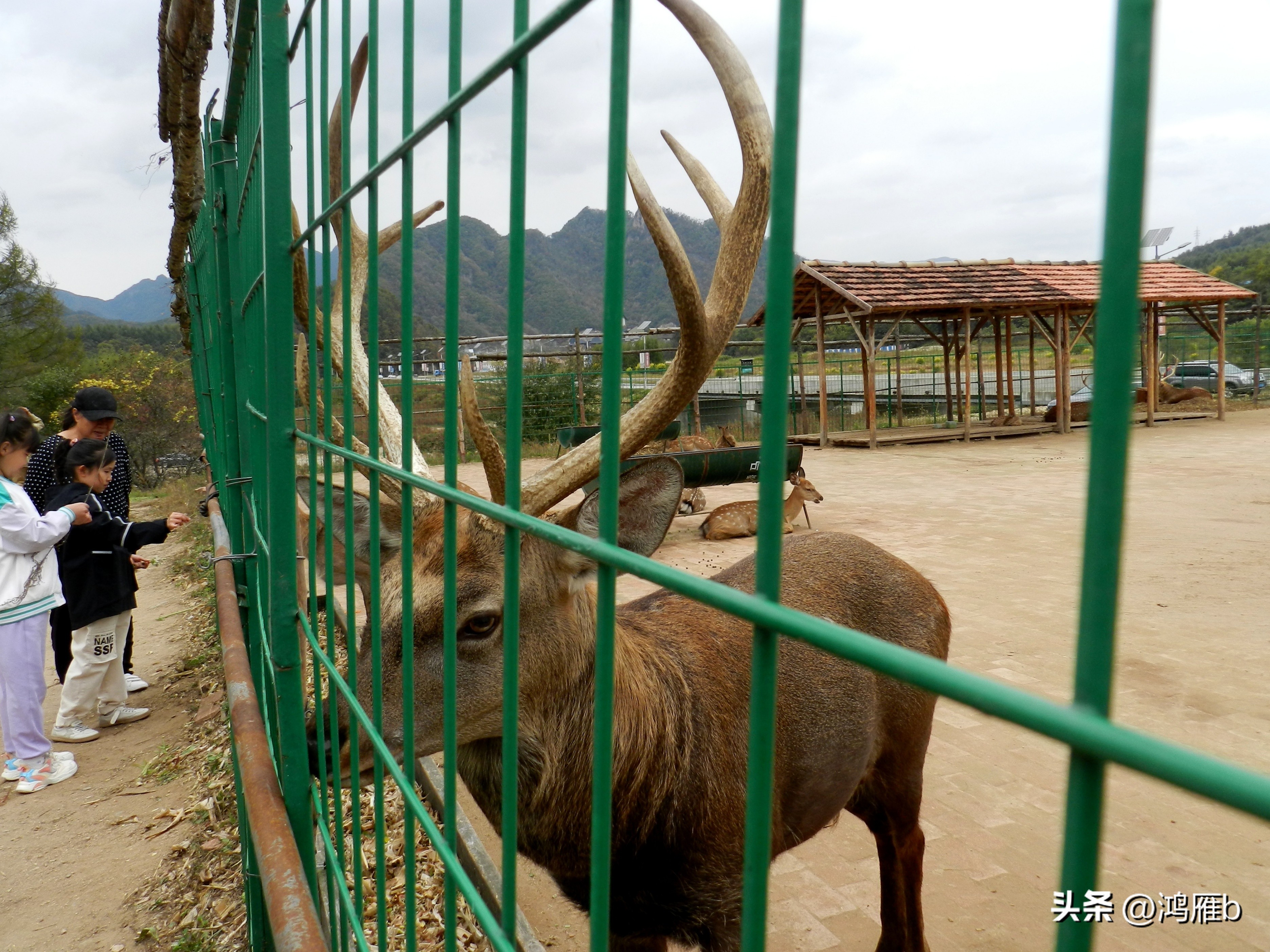 本溪温泉汤沟门票价格,本溪花溪沐枫雪温泉小镇
