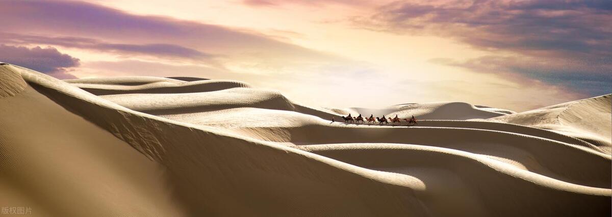 境界成于格局，格局有赖胸襟——甘肃二诊作文