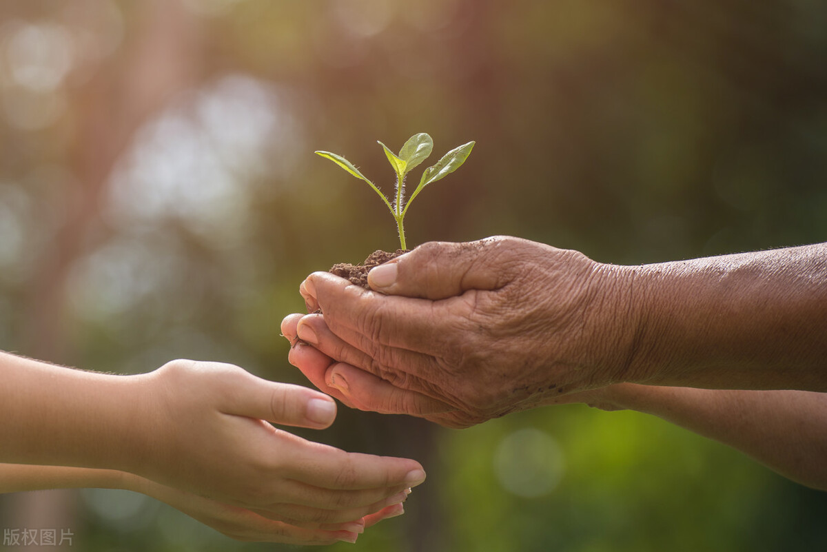 鐩樼偣閭ｄ簺鍦ㄥ幙鍩庨椃澹板彂澶ц储,灏忓幙鍩庨椃澹板彂澶ц储