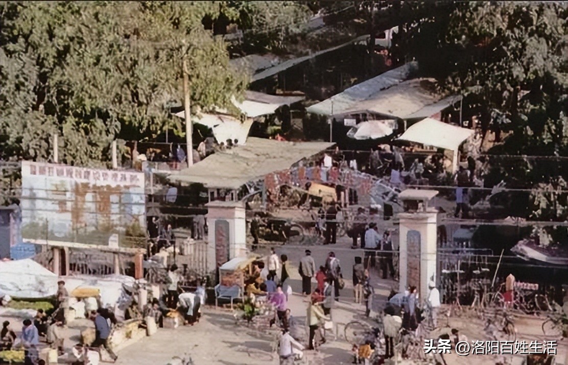 绝对珍藏！你没见过的洛阳偃师，满满的记忆