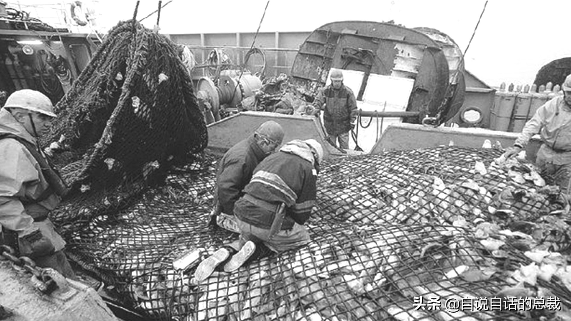 为什么买的鳕鱼段都是粘液,为什么买的鳕鱼那么多水