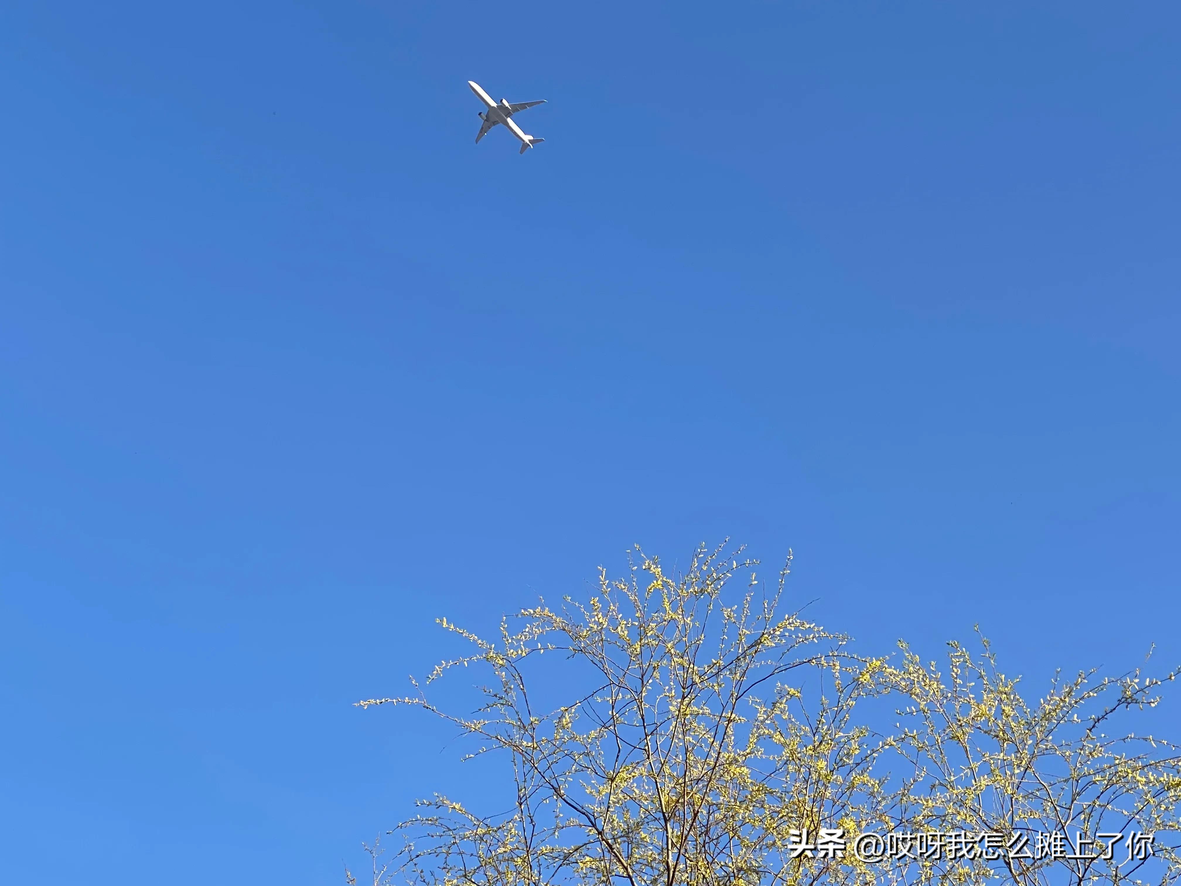 第一次坐飞机有点紧张有点忐忑,第一次乘坐飞机好紧张