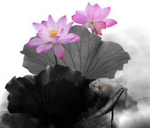 让你内心变强大的十句话,如何使内心变得更强大