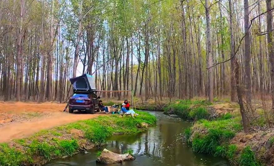 郑州出发十一冷门自驾游,郑州亲子游十大必去景点免费的