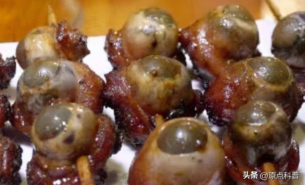 盘点广西十大奇葩美食狗肉,广西特色美食全是经典快来看看吧