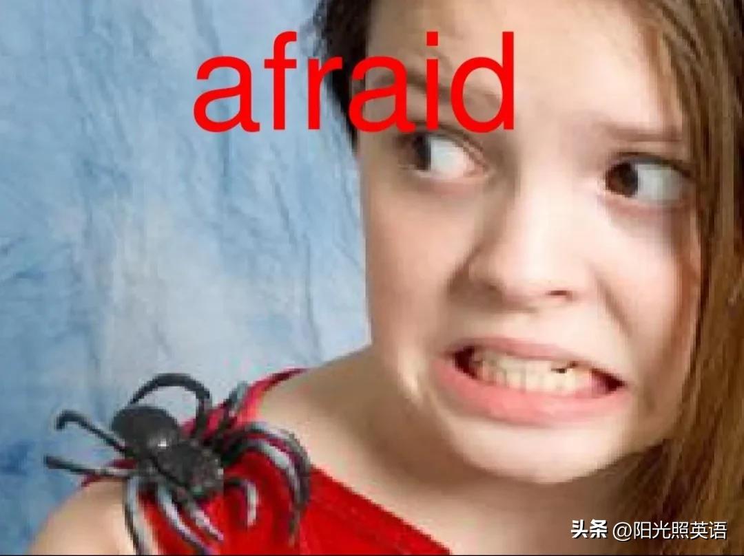 初中7-9年级英语知识点,初中英语人教版unit1知识点