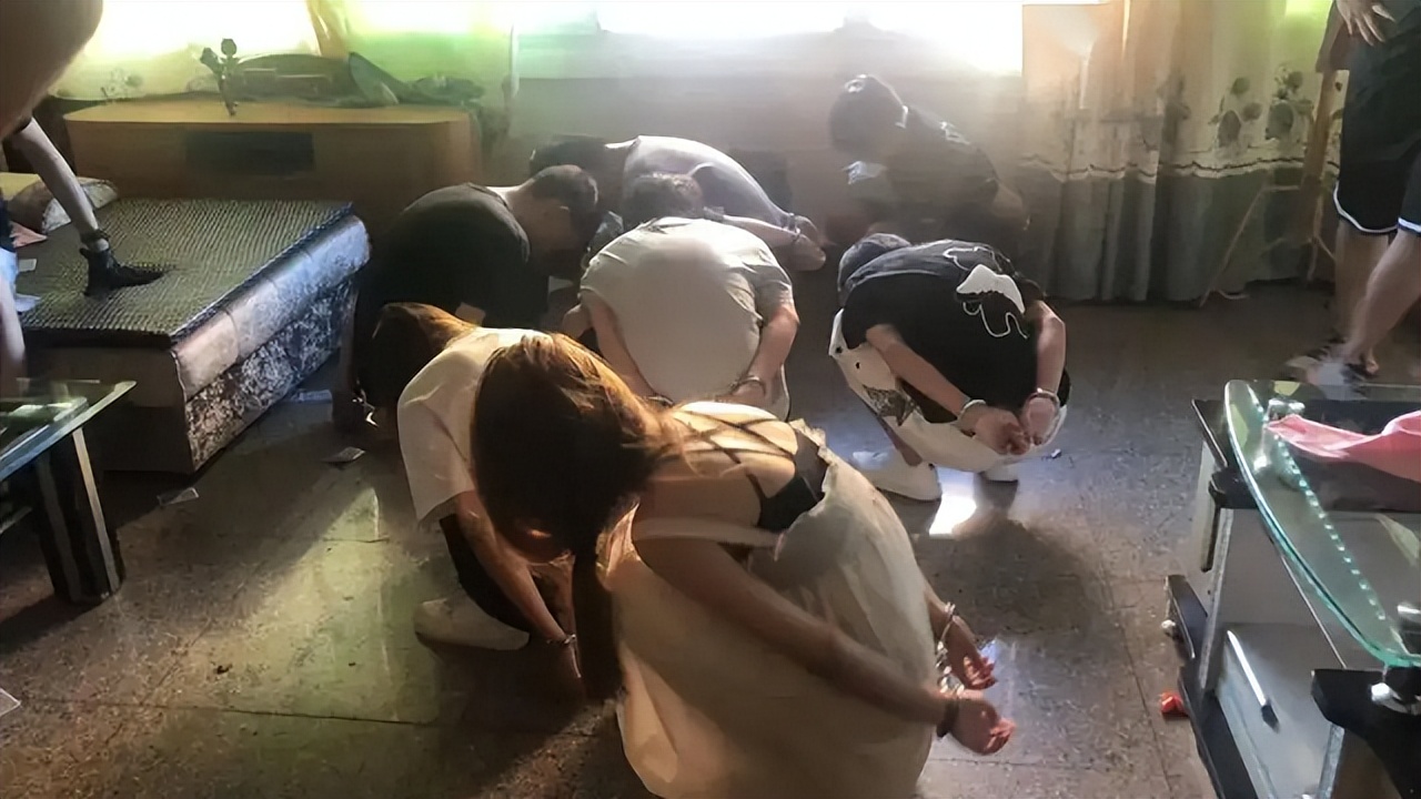 丁香覆灭记免费观看,丁香网覆灭记