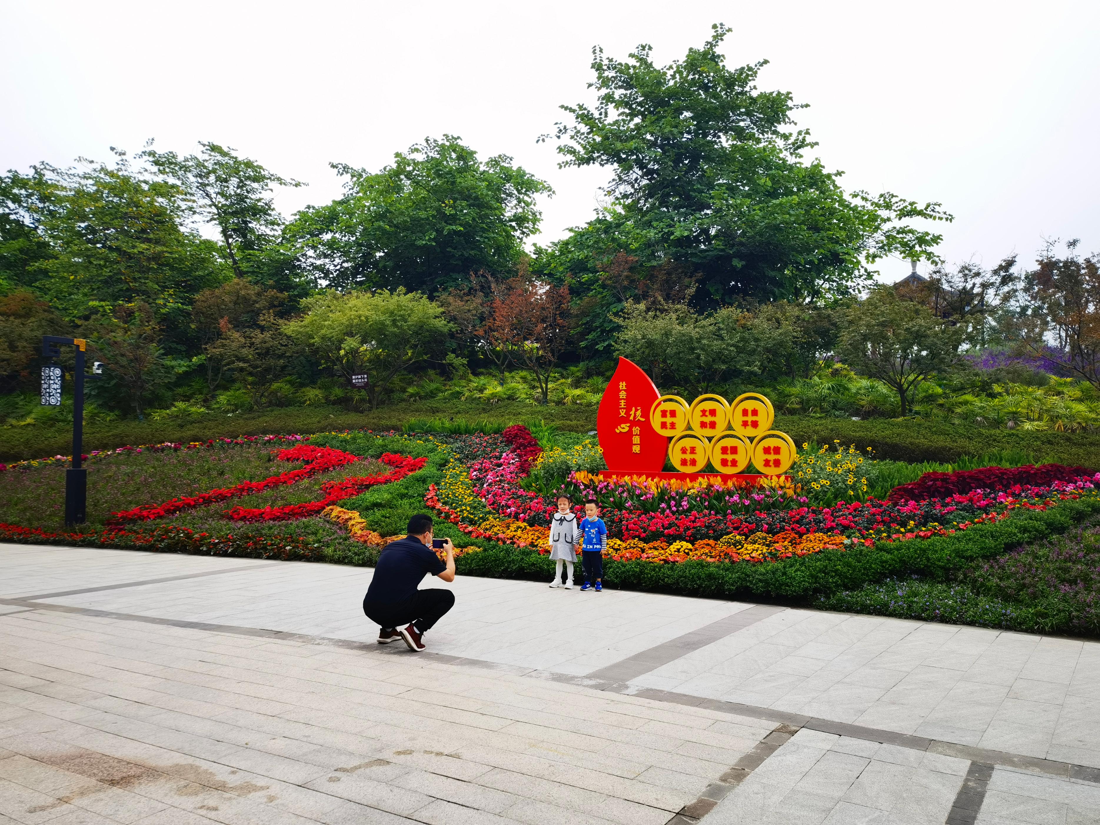 68万盆鲜花“笑意盈盈”，迎来国庆“喜气洋洋”