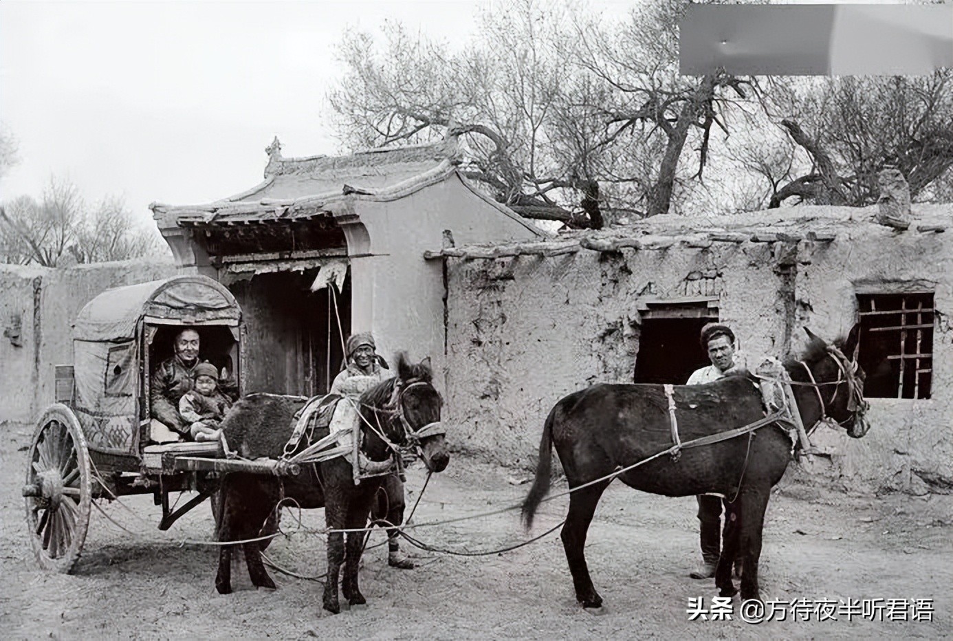 五组镜头下，敦煌莫高窟的百年沧桑