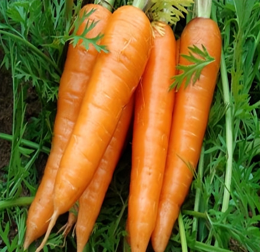 胃病胃疼能吃豆腐吗,养胃常识胃病为什么不能吃豆制品