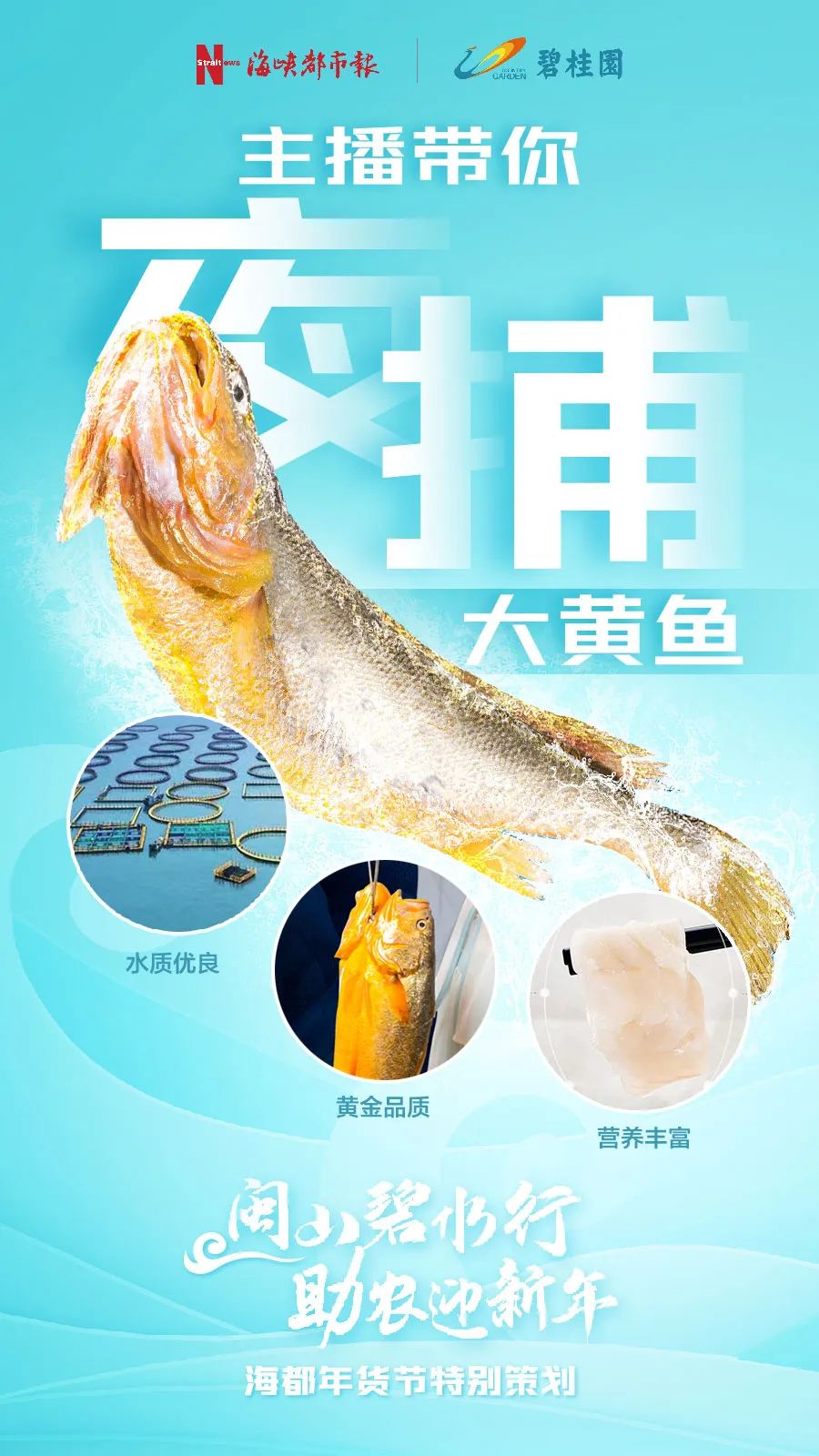 定了！马上开始！