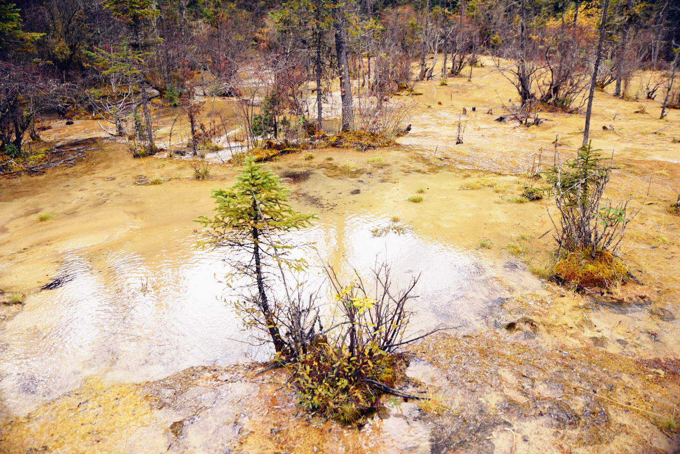 卡龙沟景区有什么好玩的,卡龙沟穿越松潘