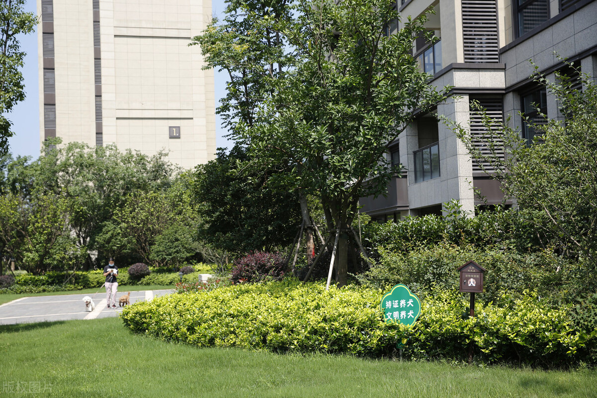 农村农家小院种树,农家小院种花植树