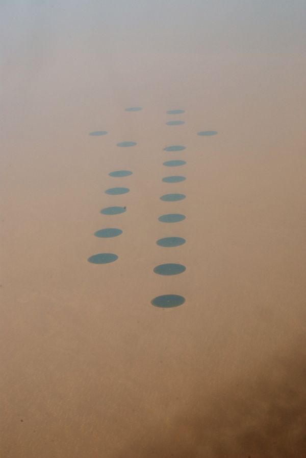 100个难得一见照片,难得一见12张照片