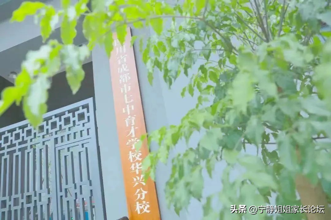 成都锦江区教育资源排名,锦江区教育资源片区排行榜