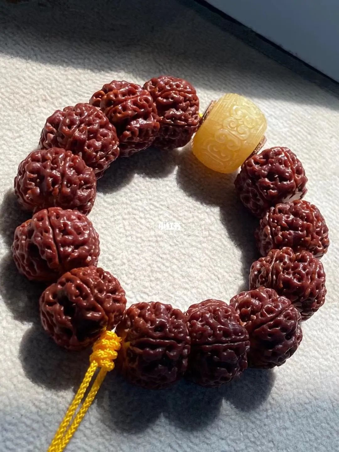 金刚菩提子知识,金刚菩提子的知识