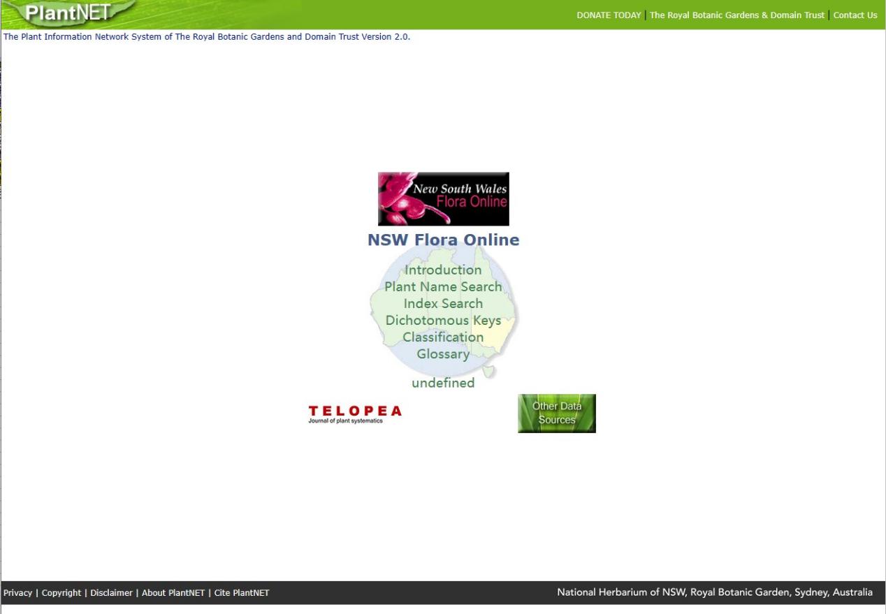 识别花草扫一扫的app,识别花草扫一扫软件下载