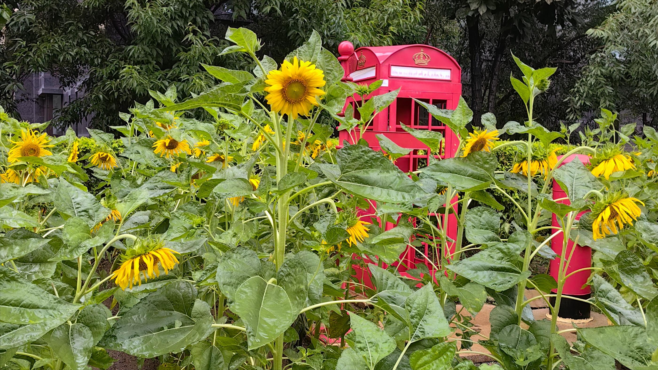 敏感肌怎么办,很敏感怎么改变