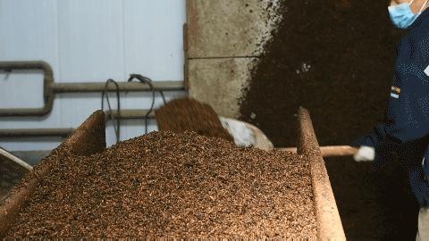 高手在民间师傅的绝活,高手在民间曾仕强