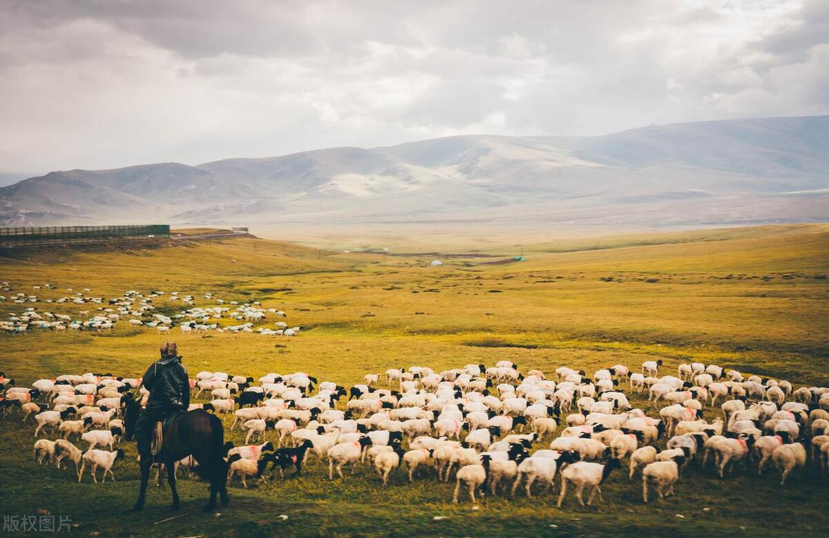 李昌平：乡村振兴关键靠发展产业？