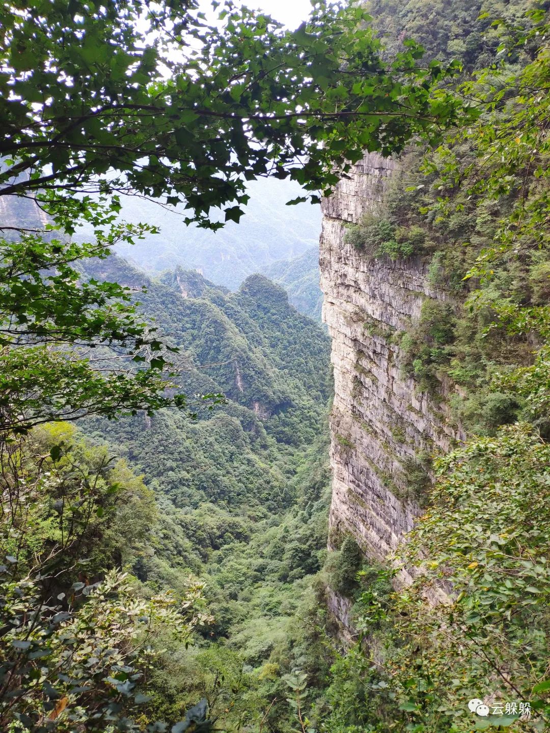 柴埠溪大峡谷费用,柴埠溪大峡谷风景区套票