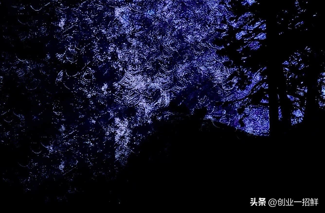 数字化创业方法有什么,自动化创业的方法