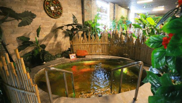 欧乐堡海洋极地公园攻略,欧乐堡最全游玩攻略请收好