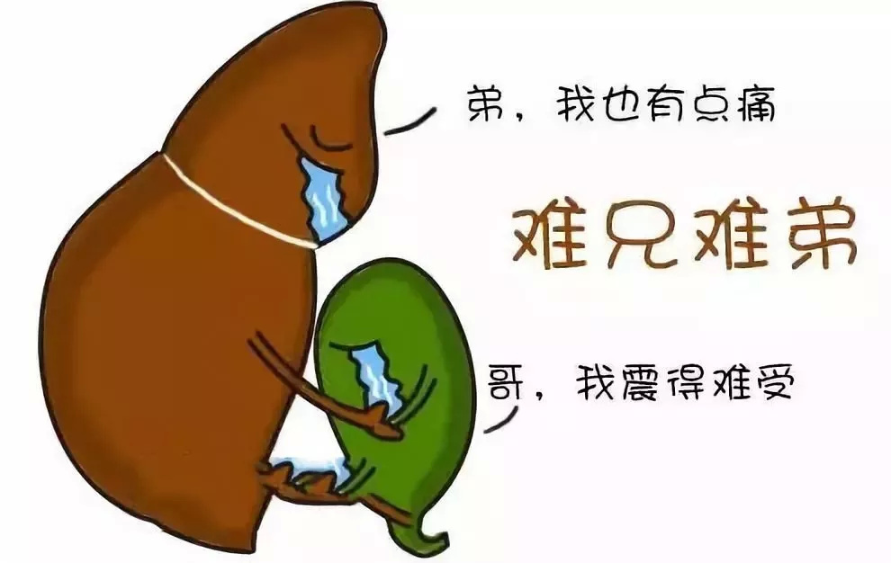 胆囊泥沙样结石能消失吗,胆囊结石微创手术后胀痛多久消失