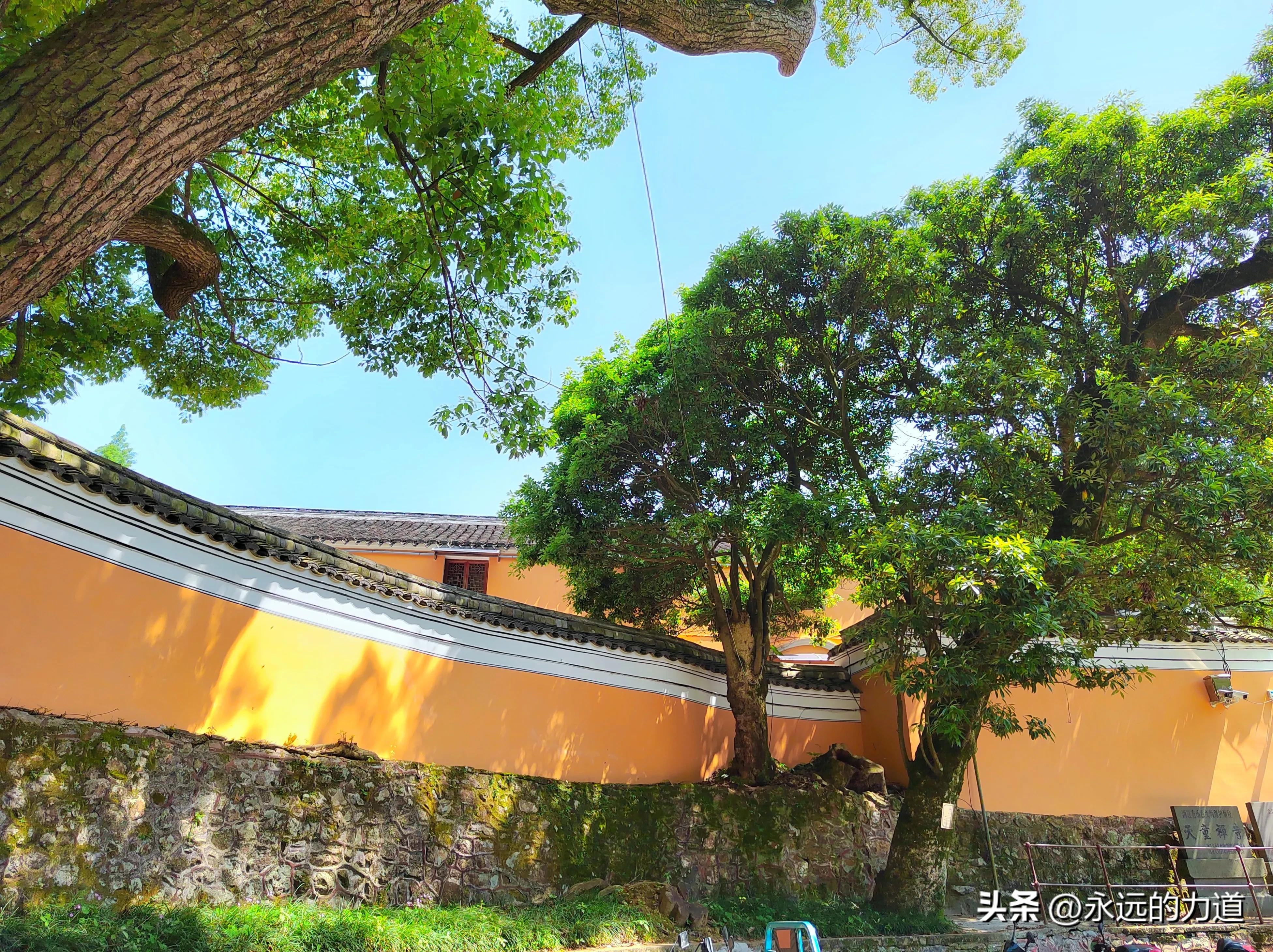 浙江宁波天童寺,宁波天童寺官网