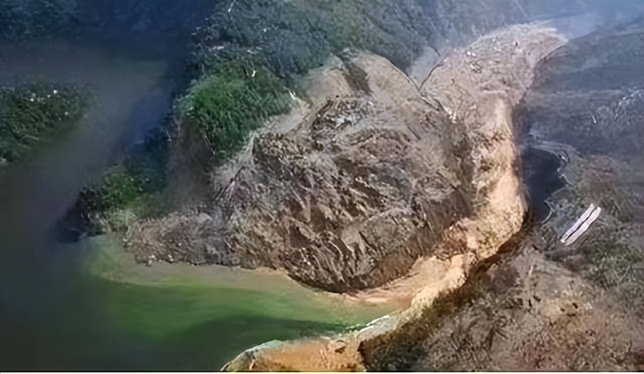 为什么有的蛇能活几百年,蛇真的能进化为蛟吗