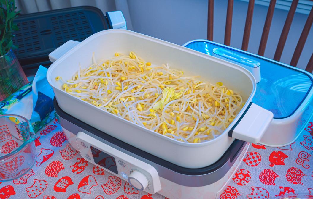 听说双11东西都很便宜视频,性价比高的多功能料理锅测评推荐