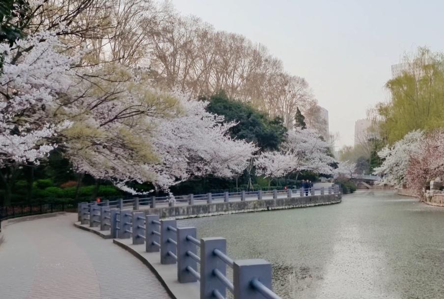 郑州七月份适合带孩子去哪旅游,郑州周边五一适合去哪旅游带孩子