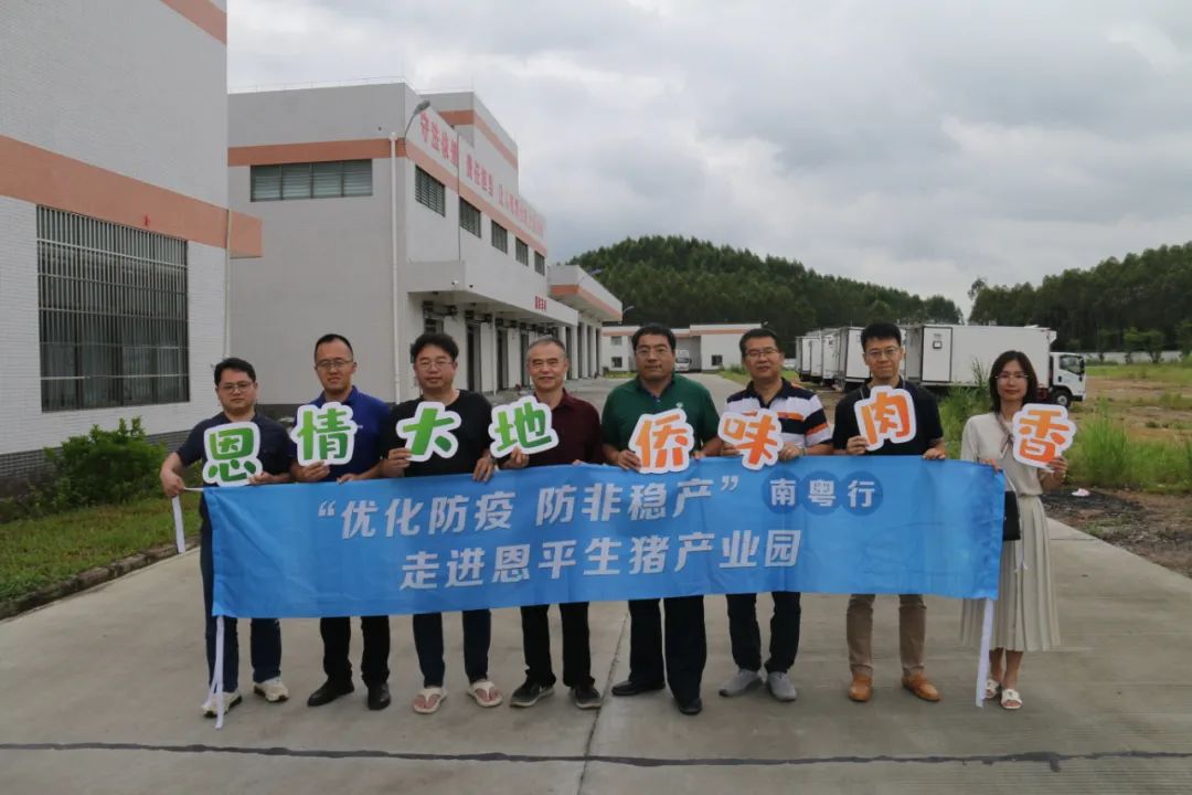 广东各市2019年生猪出栏数量,广东生猪养殖产业现状如何